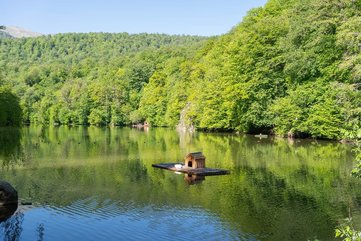 Lake Parz: the pearl of Dilijan