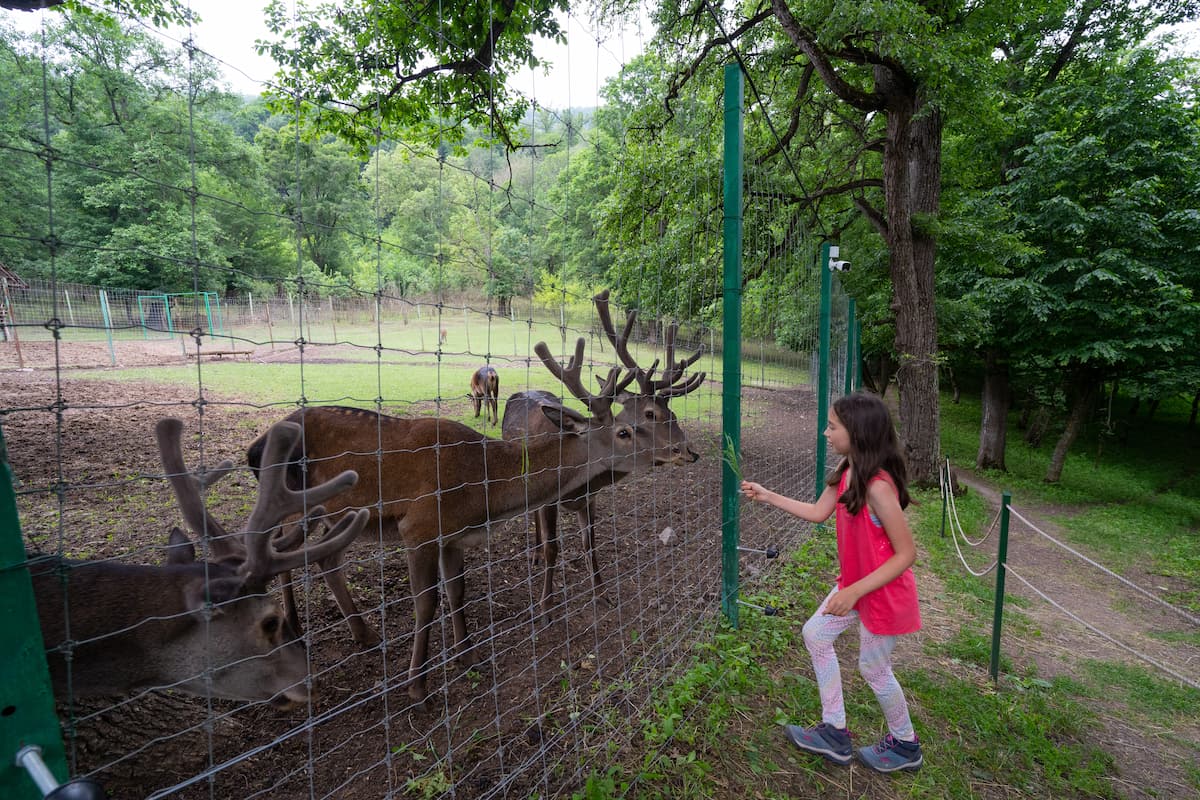 Caucasian Red Deer Breeding Center, Dilijan