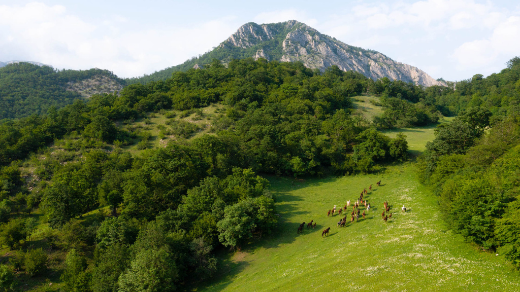 DJI_0881 1.jpg DJI_0881 1.jpg